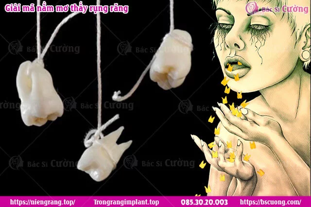 giai-ma-giac-mo-rung-rang-chay-mau
