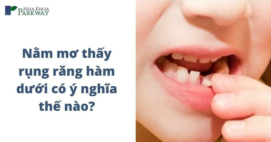 giai-ma-giac-mo-rung-rang-chay-mau
