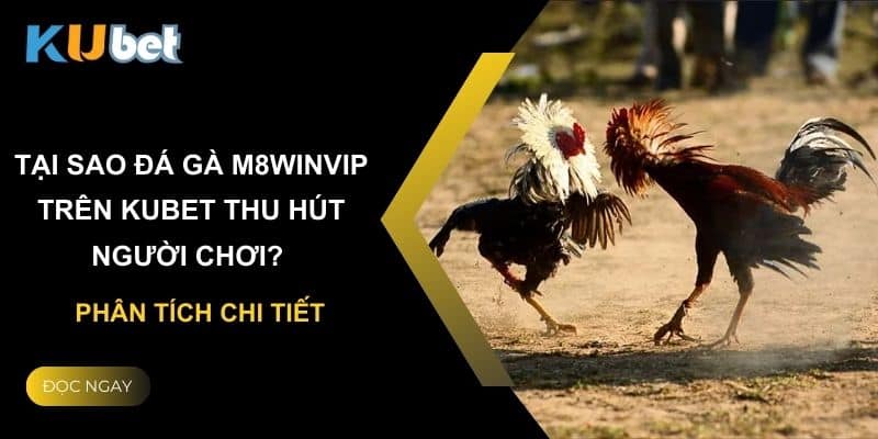 da-ga-m8winvip-com