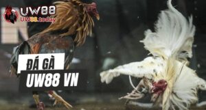 da-ga-uw88-vn