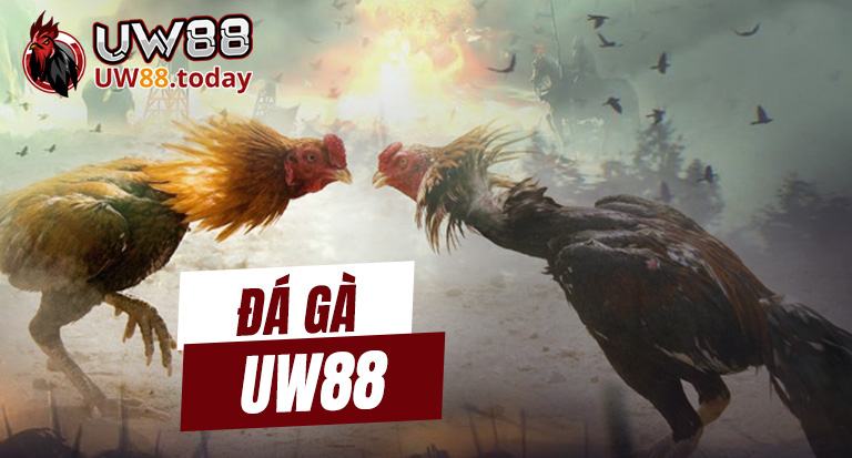 da-ga-uw88-vn